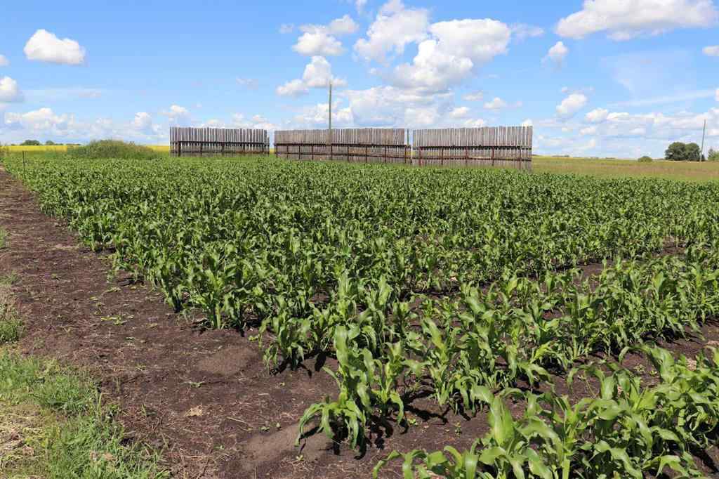 MLS® A2238361 - 432053 Range Road 253   in NONE Rural Ponoka County, Residential