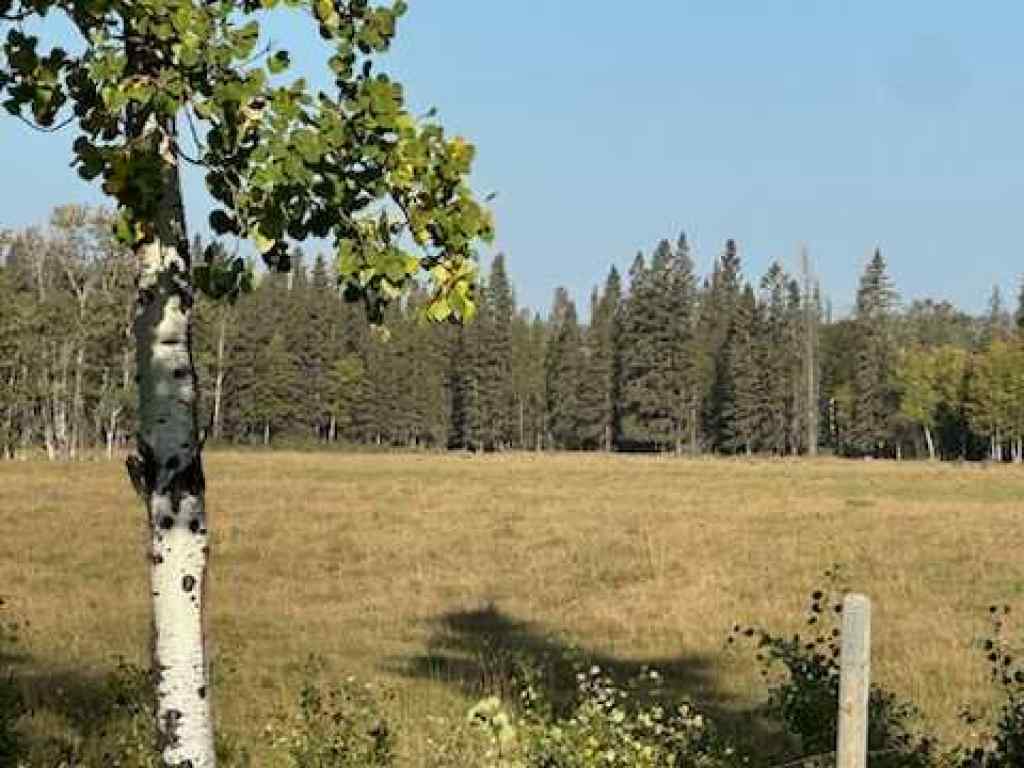 MLS® A2238490 - SE 3-33-5 W5   in NONE Rural Mountain View County, Land