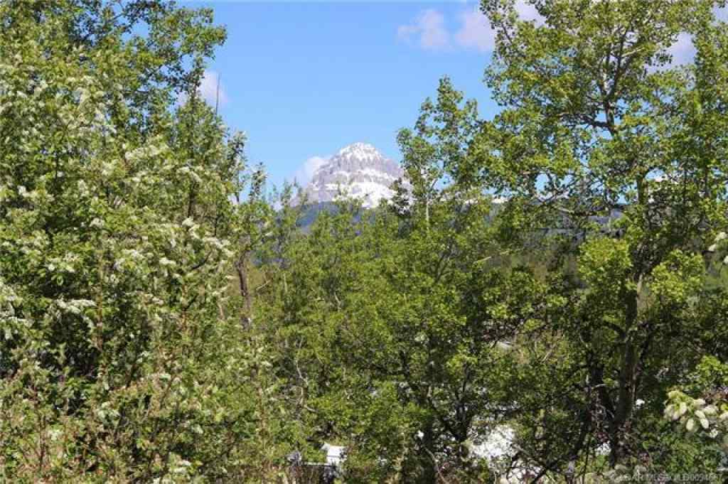 MLS® A2238542 - 13441 17 Avenue  in NONE Blairmore, Residential