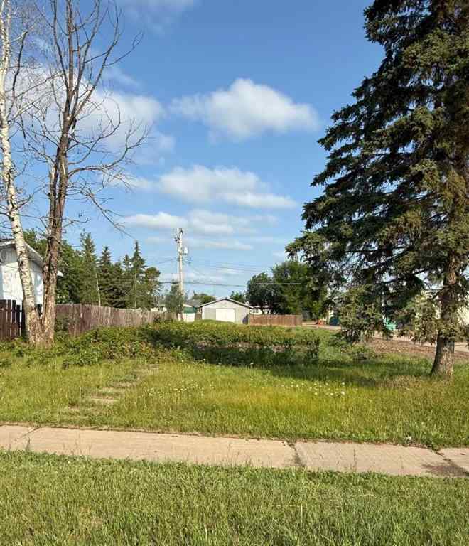 MLS® A2238587 - 10006 99 Street  in NONE High Level, Land