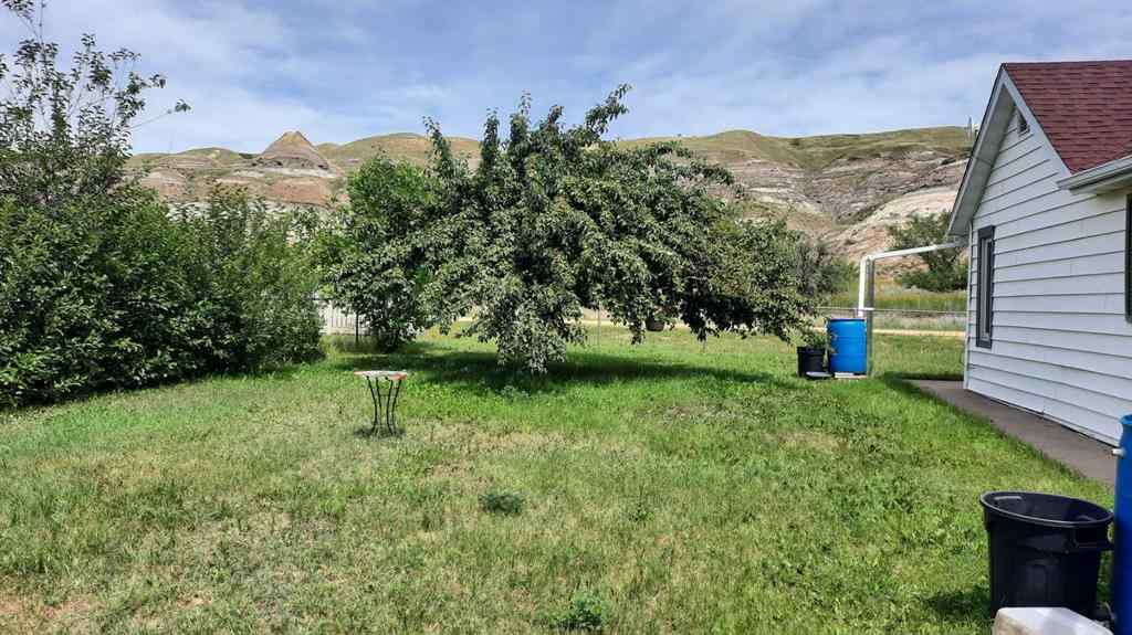 MLS® A2238601 - 261 1 Avenue  in East Coulee Drumheller, Residential
