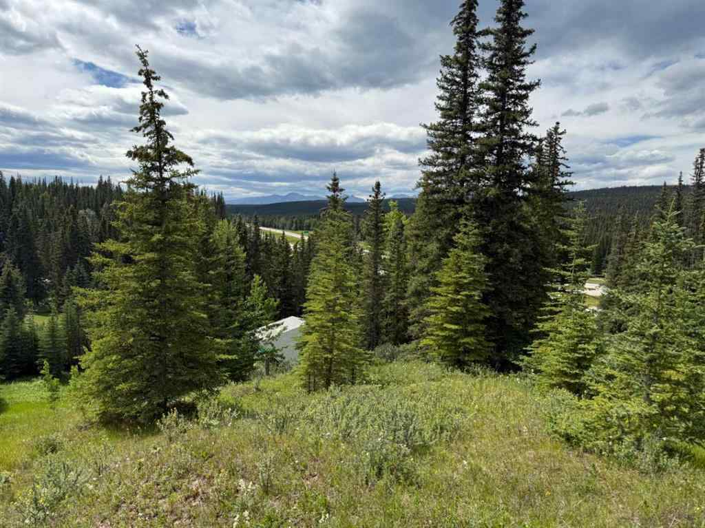 MLS® A2238633 - 50519 Highway 16 E   in NONE Rural Yellowhead County, Residential