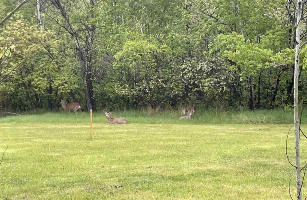 MLS® A2238752 - Unit #Lot 26 38349 Range Rd 270   in Hawk Hills Rural Red Deer County, Land