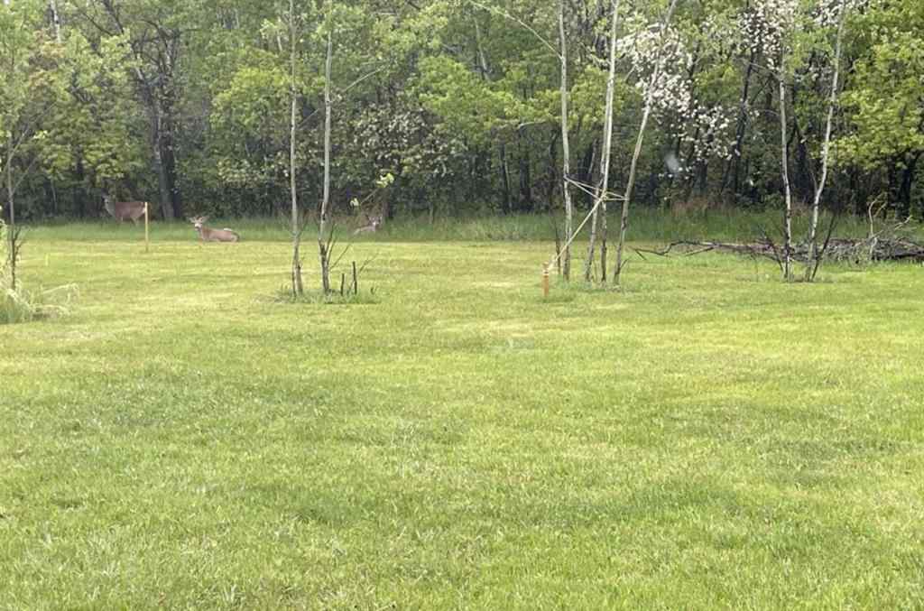 MLS® A2238752 - Unit #Lot 26 38349 Range Rd 270   in Hawk Hills Rural Red Deer County, Land