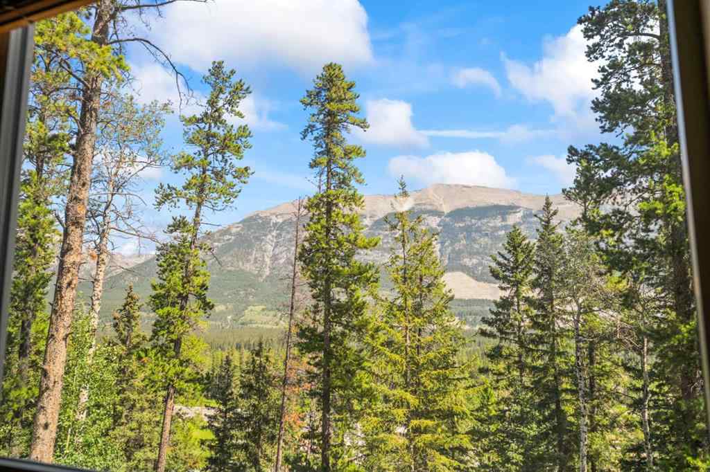 MLS® A2238862 - Unit #222 104 Armstrong Place  in Three Sisters Canmore, Residential