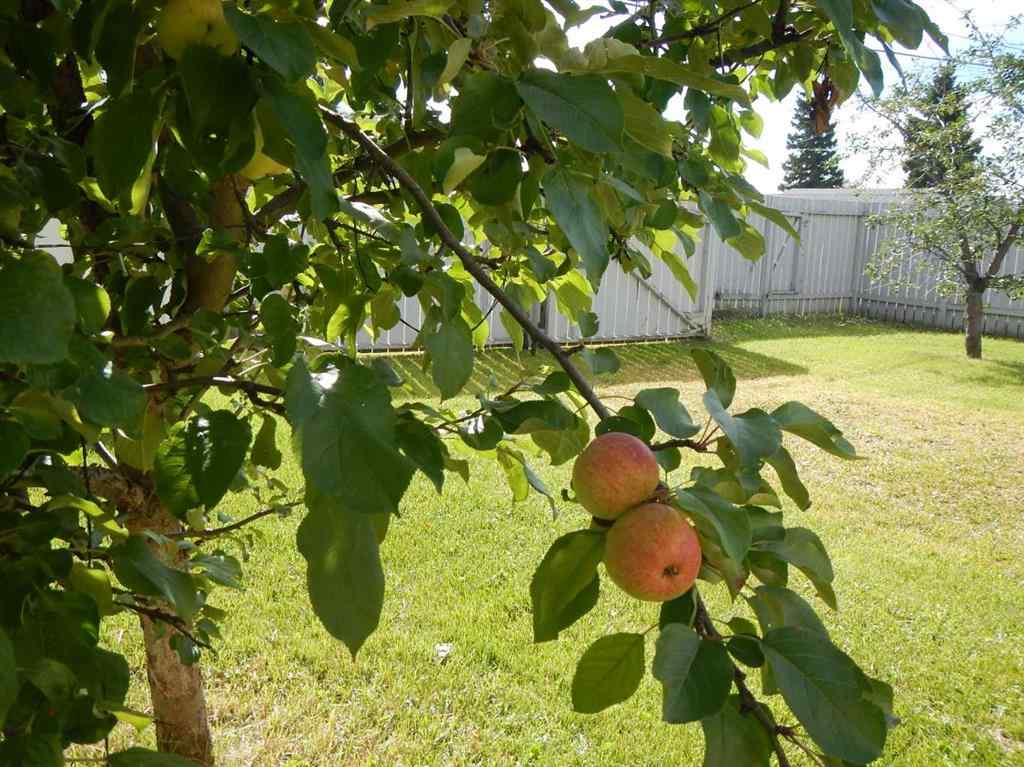 MLS® A2239144 - 10829 106 Avenue  in NONE Fairview, Residential