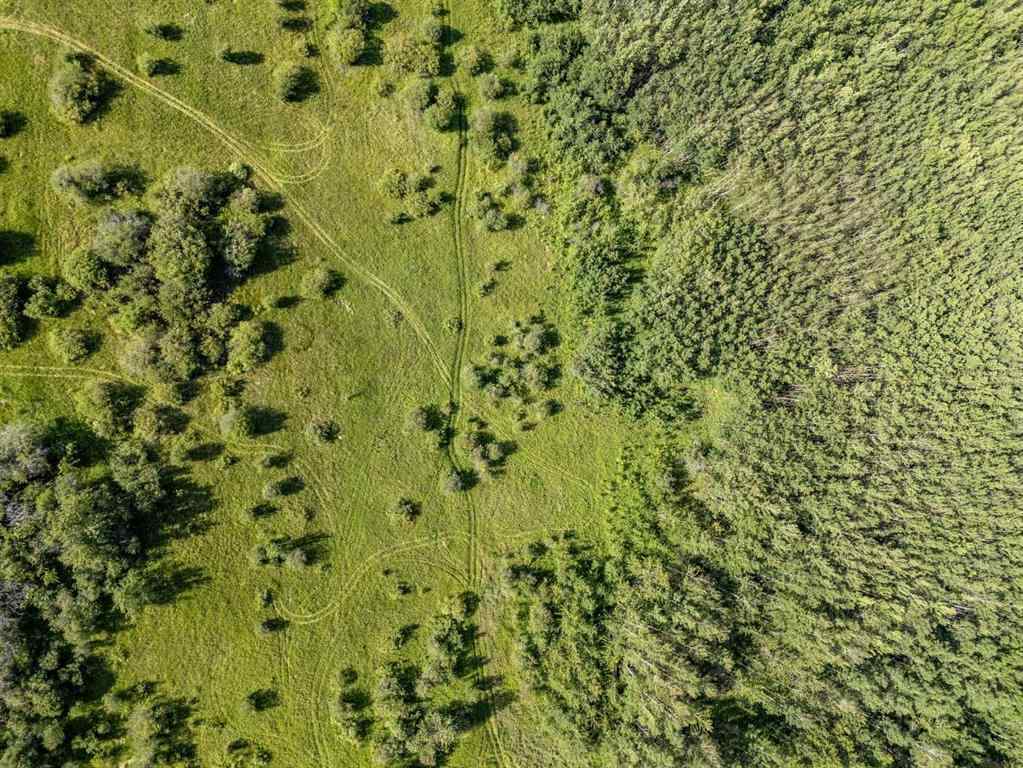MLS® A2239251 -  RR 281   in NONE Rural Wetaskiwin No. 10, County of, Land