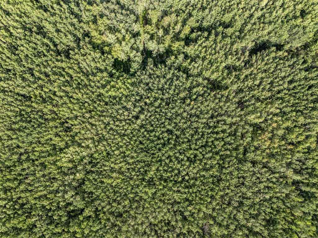 MLS® A2239251 -  RR 281   in NONE Rural Wetaskiwin No. 10, County of, Land