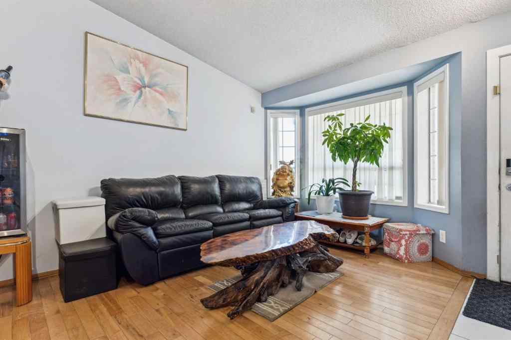 MLS® A2239270 - 894 Applewood Drive SE in Applewood Park Calgary, Residential