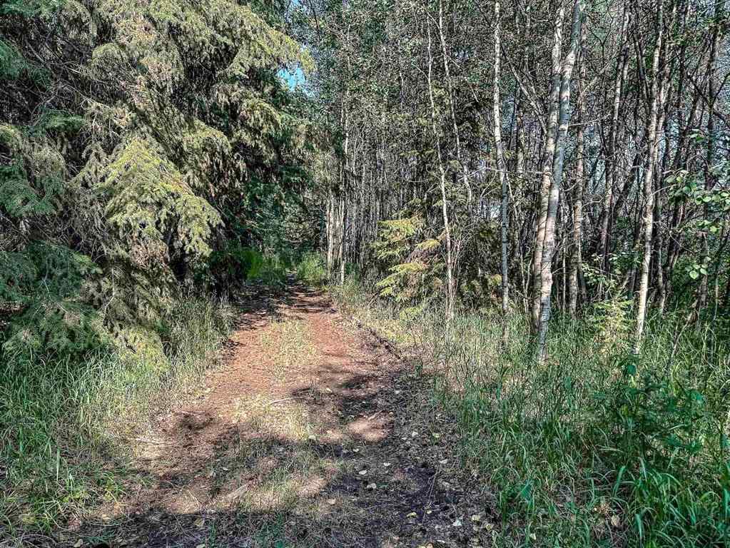 MLS® A2239498 - 1417 Township Road 412   in NONE Rural Lacombe County, Agri-Business