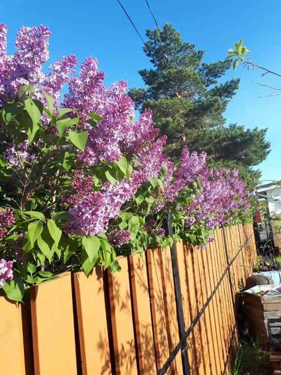 MLS® A2239501 - 2124 20 Street  in NONE Delburne, Commercial