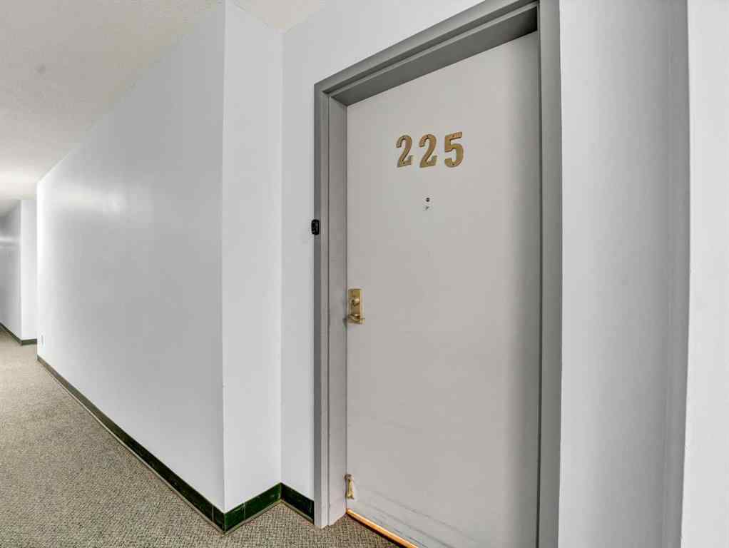 MLS® A2239639 - Unit #225 3090 15 Avenue SE in Crestwood-Norwood Medicine Hat, Residential