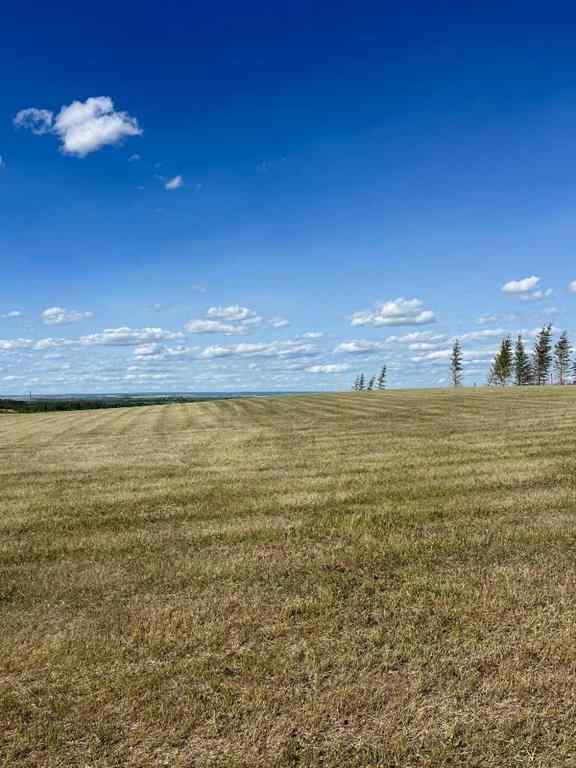 MLS® A2239646 - 47 713019 Range Road 71   in NONE Rural Grande Prairie No. 1, County of, Land