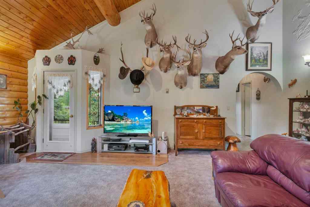 MLS® A2239738 - 381039 Range Road 7-2   in NONE Rural Clearwater County, Residential