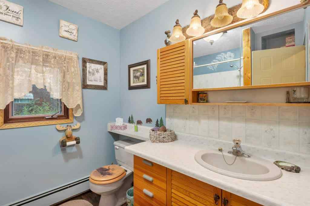 MLS® A2239738 - 381039 Range Road 7-2   in NONE Rural Clearwater County, Residential