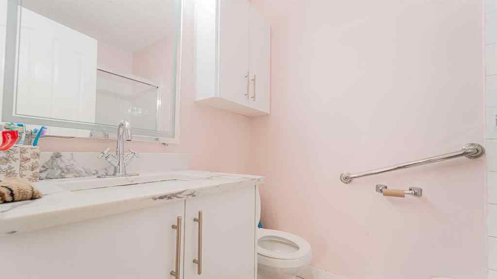 MLS® A2239773 - 101 Martinbrook Place NE in Martindale Calgary, Residential