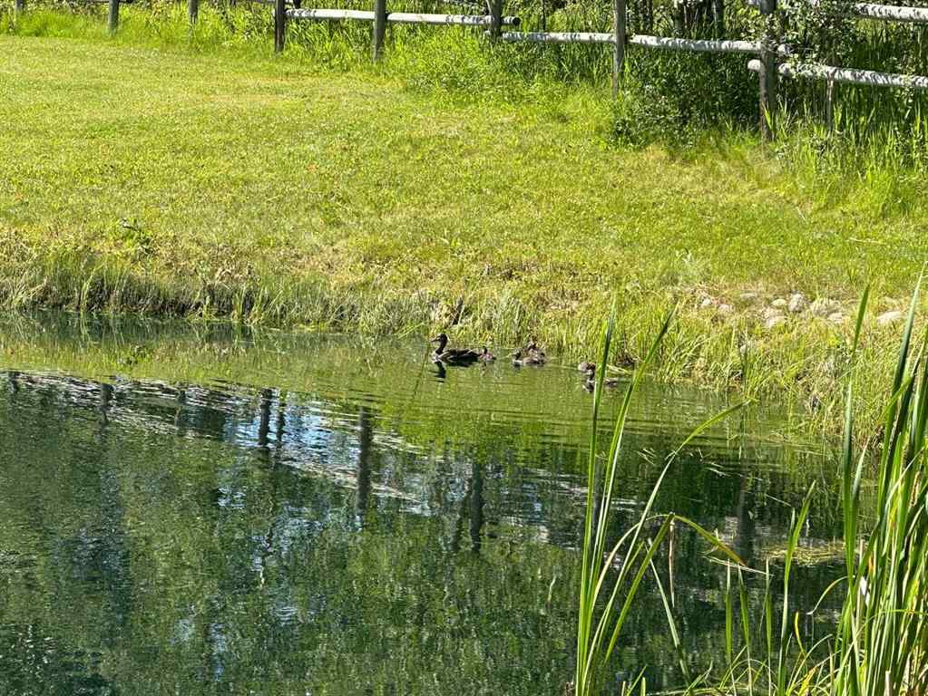 MLS® A2239801 - 394051 Range Road 8-5A   in NONE Rural Clearwater County, Residential