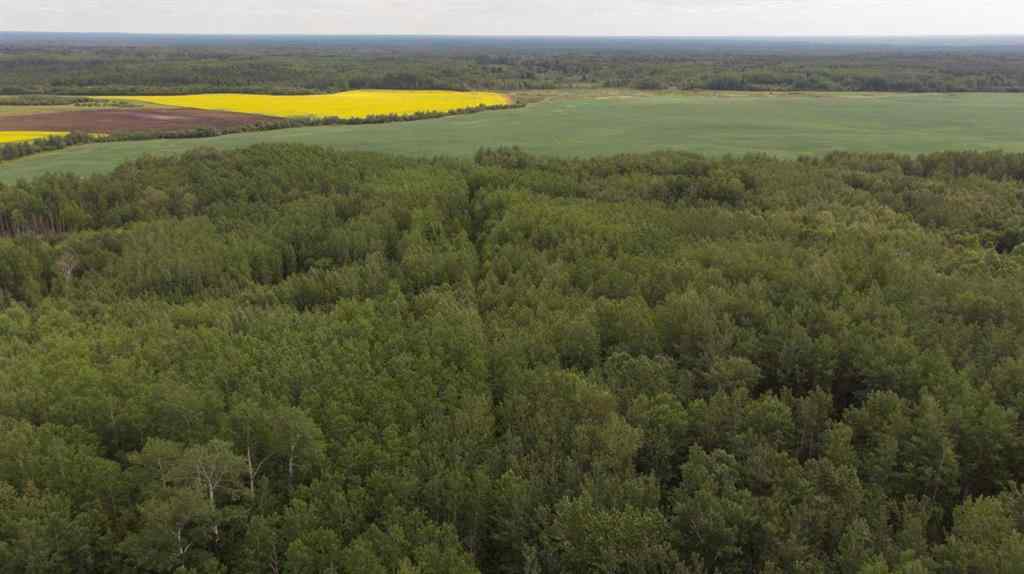 MLS® A2239839 - Township Road 694 Range Road 210   in NONE Athabasca, Land