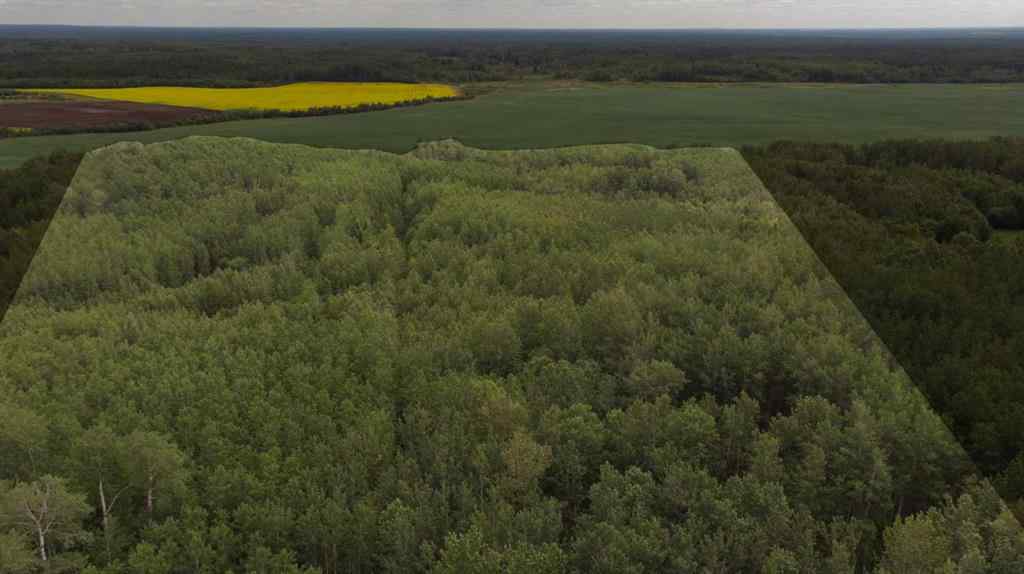 MLS® A2239839 - Township Road 694 Range Road 210   in NONE Athabasca, Land