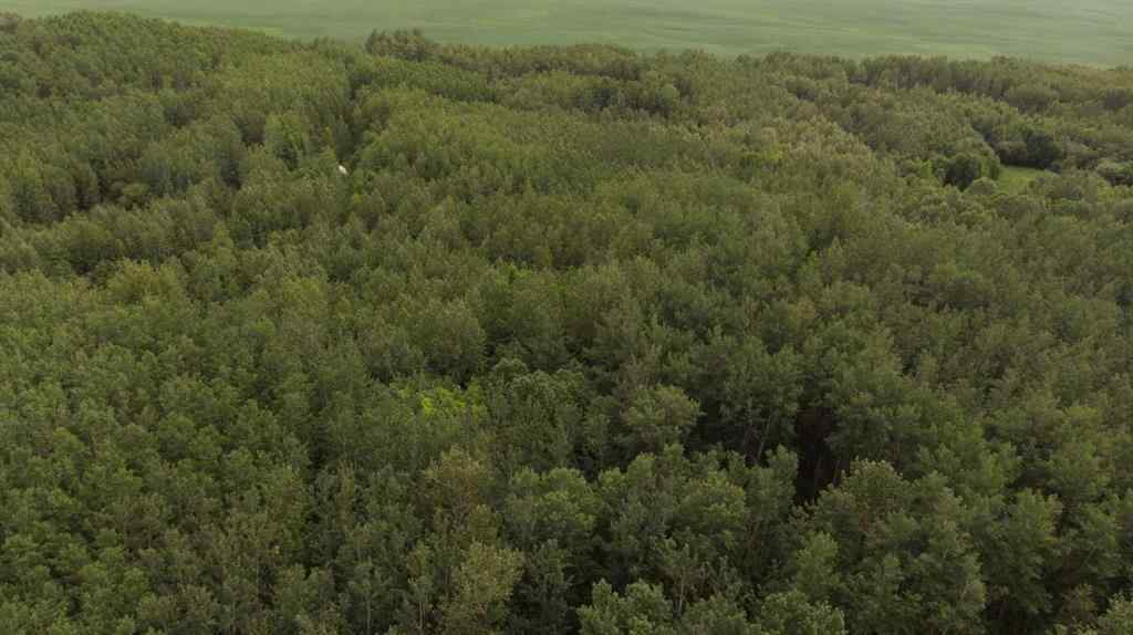 MLS® A2239839 - Township Road 694 Range Road 210   in NONE Athabasca, Land