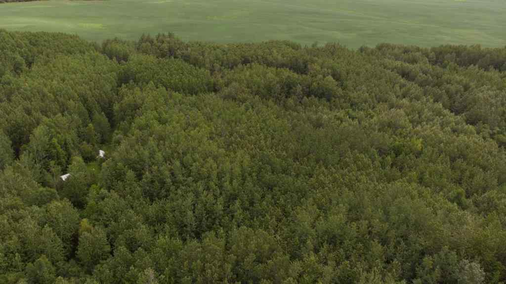 MLS® A2239839 - Township Road 694 Range Road 210   in NONE Athabasca, Land