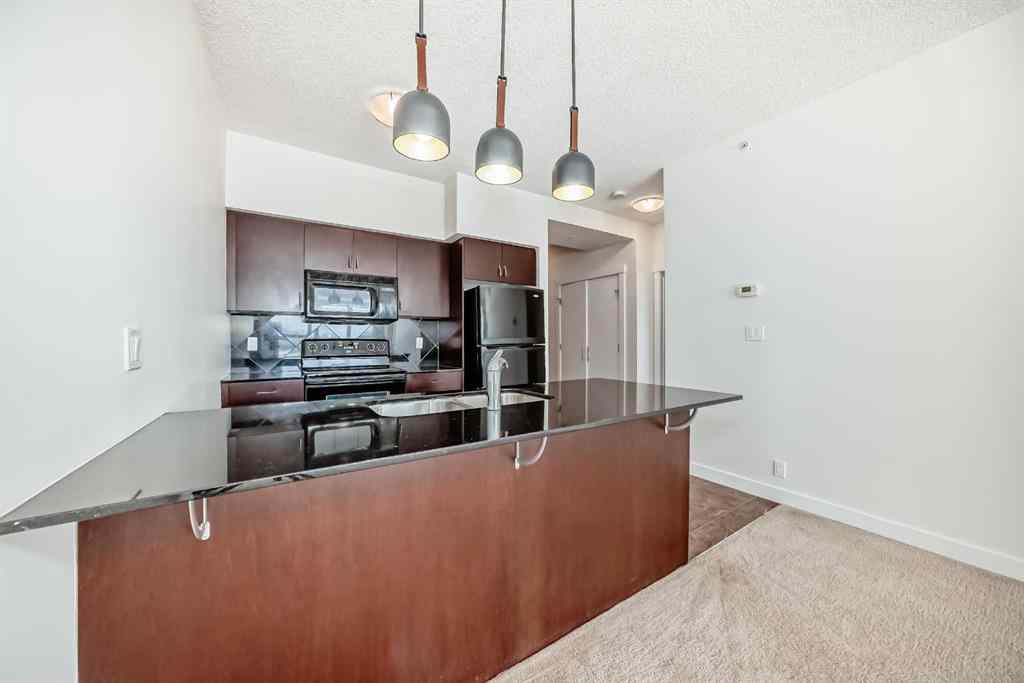 MLS® A2239934 - Unit #1313 8880 Horton Road SW in Haysboro Calgary, Residential