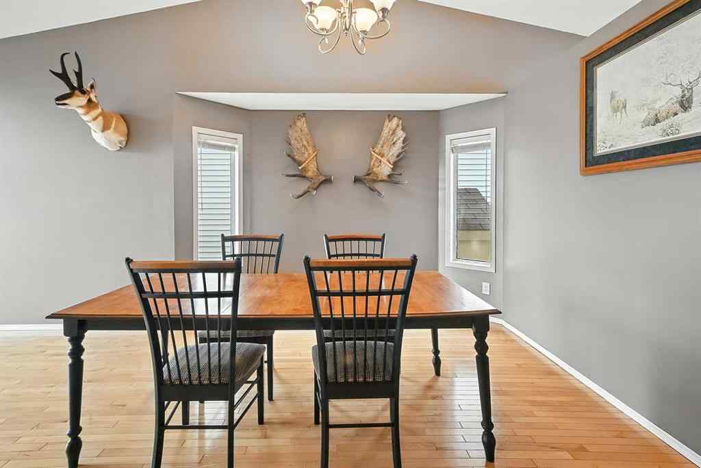 MLS® A2240136 - 145 Castle Crescent  in Clearview Meadows Red Deer, Residential