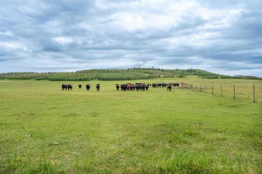 MLS® A2240295 - 70029 7 Highway W in NONE Rural Foothills County, Residential