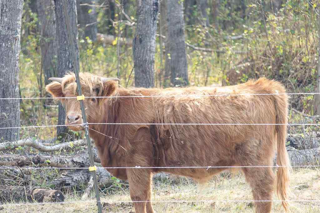 MLS® A2240463 -  SE-34-52-23-W3   in NONE Rural, Residential