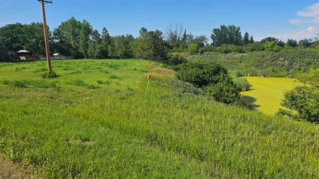 MLS® A2240471 - 4325 48 Avenue  in NONE Castor, Land