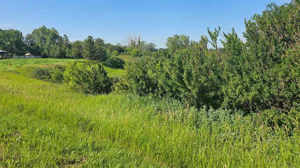 MLS® A2240471 - 4325 48 Avenue  in NONE Castor, Land