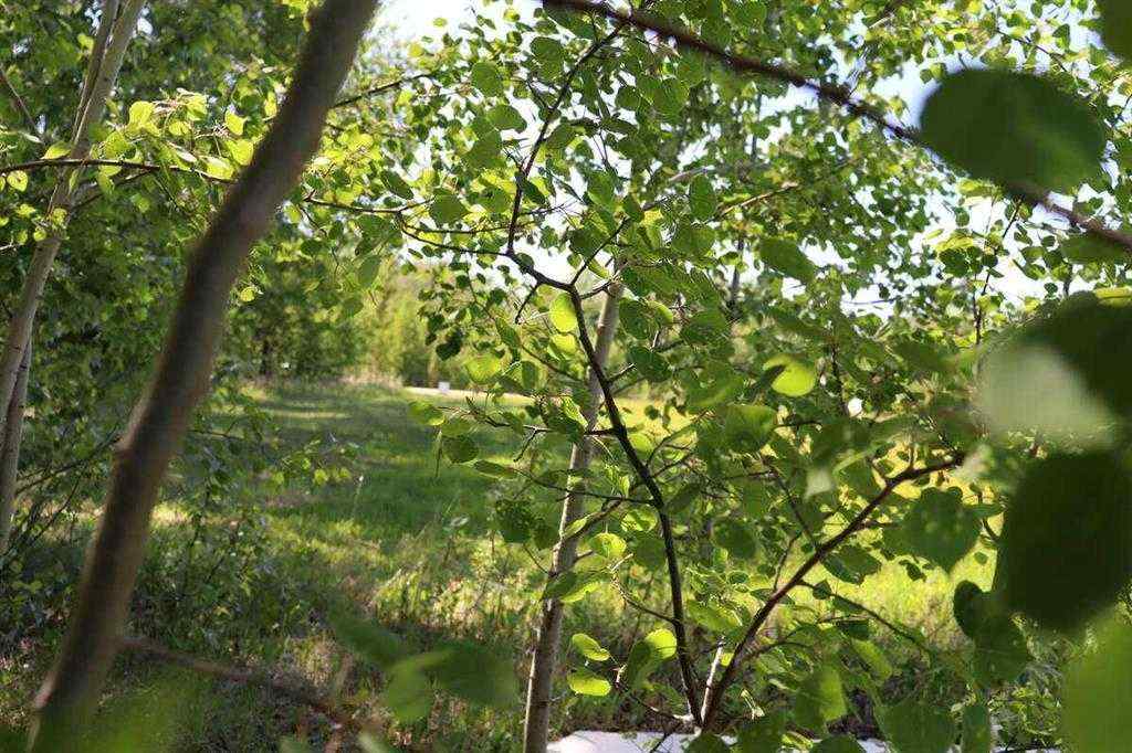 MLS® A2240500 - 5 28124 TOWNSHIP RD 412   in Wilson’s Beach Estates Rural Lacombe County, Land