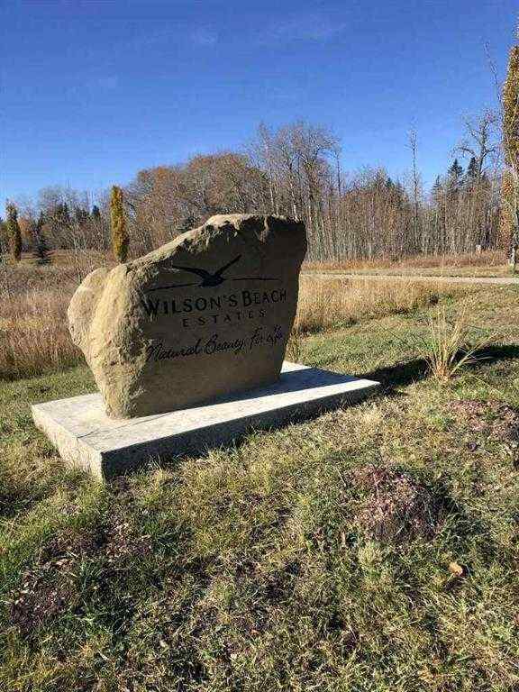 MLS® A2240500 - 5 28124 TOWNSHIP RD 412   in Wilson’s Beach Estates Rural Lacombe County, Land