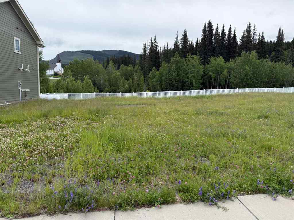 MLS® A2240763 - 339 Elizabeth Avenue  in NONE Nordegg, Land