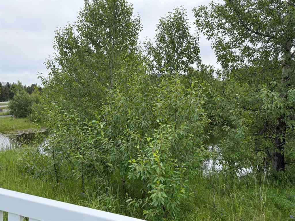 MLS® A2240776 - 331 Elizabeth Avenue  in NONE Nordegg, Land