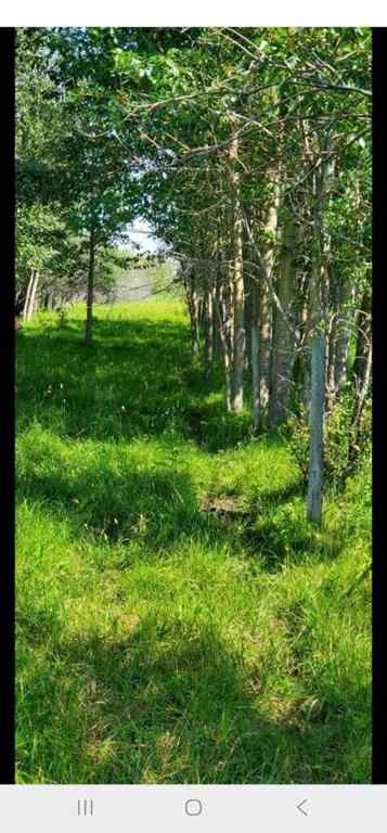 MLS® A2240919 - 385057A RGE RD 4-3 Street  in NONE Rural Clearwater County, Agri-Business