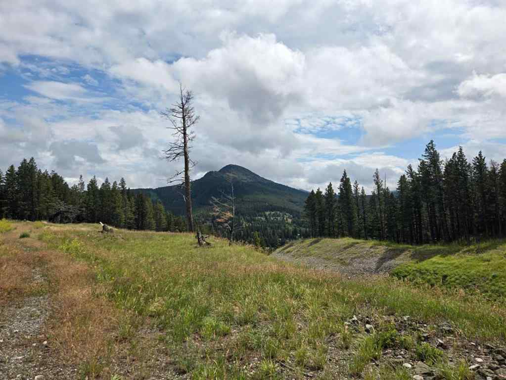 MLS® A2240921 - Unit #Unit 4 5302 19th Avenue  in NONE Coleman, Land
