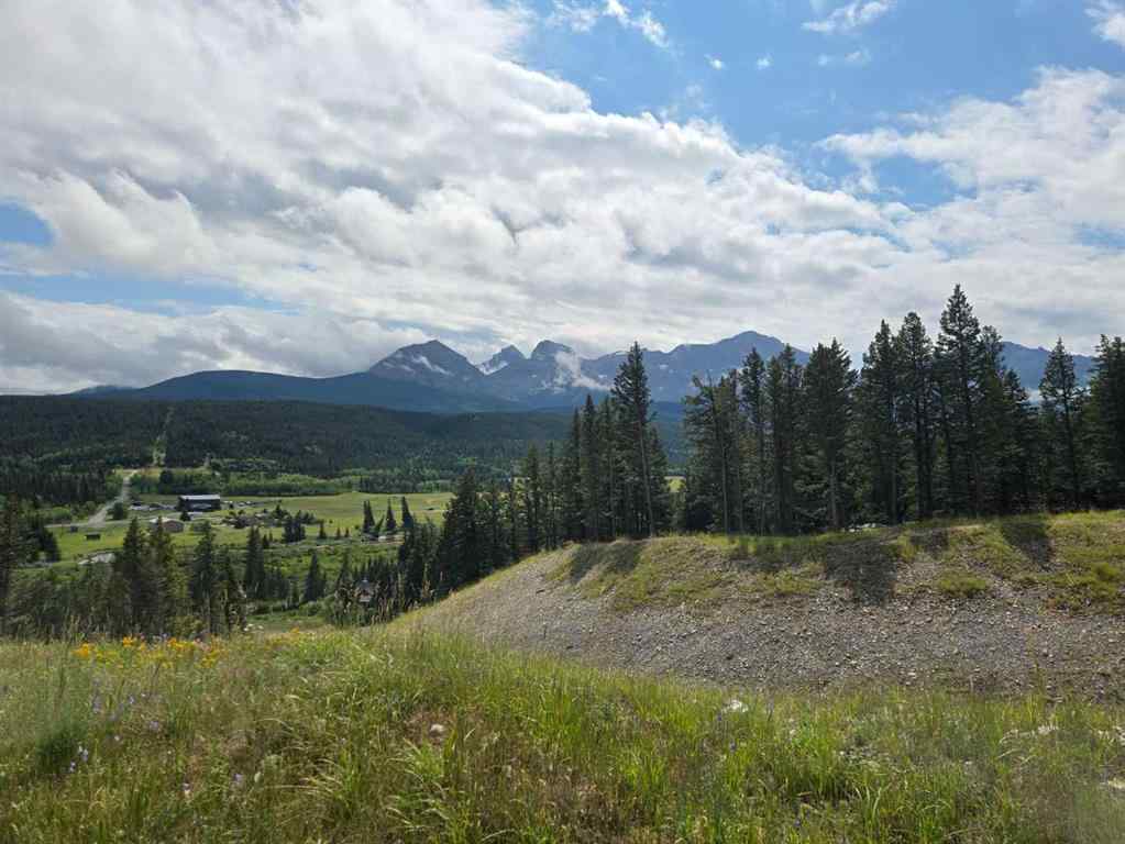 MLS® A2240921 - Unit #Unit 4 5302 19th Avenue  in NONE Coleman, Land