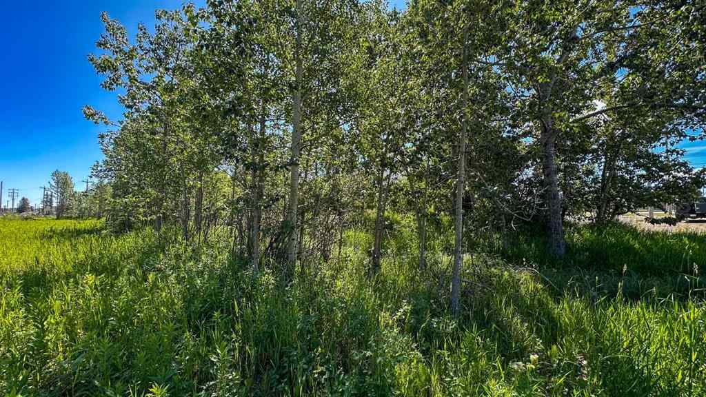 MLS® A2240983 - 586 Main Ave W   in NONE Sundre, Commercial