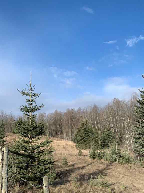 MLS® A2241135 - 14520 Township Road 562   in NONE Rural Yellowhead County, Land