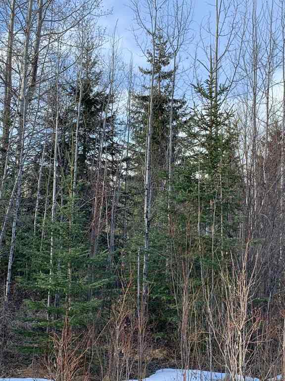 MLS® A2241135 - 14520 Township Road 562   in NONE Rural Yellowhead County, Land
