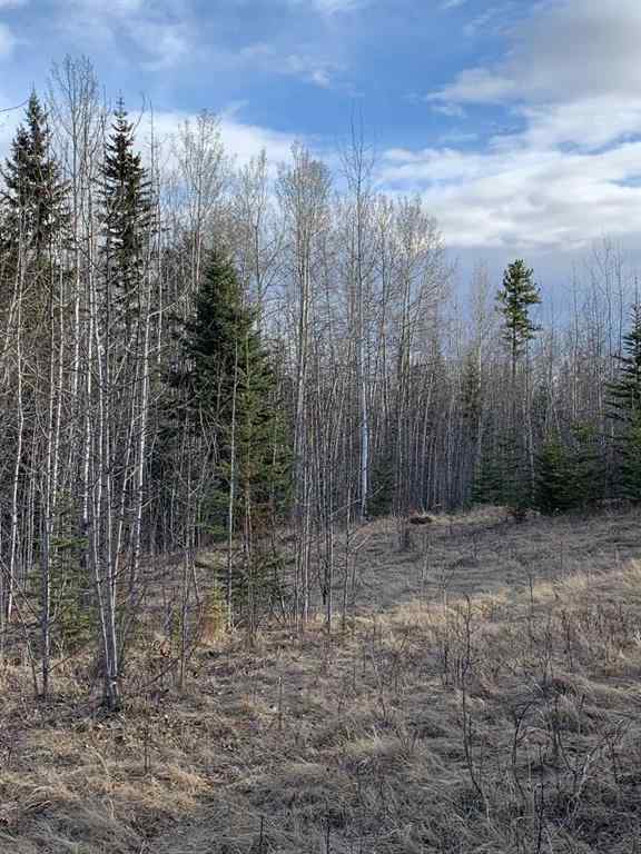 MLS® A2241135 - 14520 Township Road 562   in NONE Rural Yellowhead County, Land