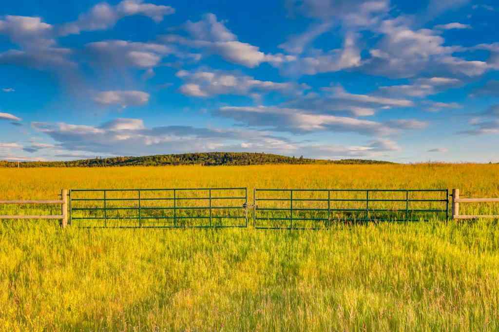 MLS® A2241275 - #100 168027 179 Avenue W in NONE Rural Foothills County, Agri-Business