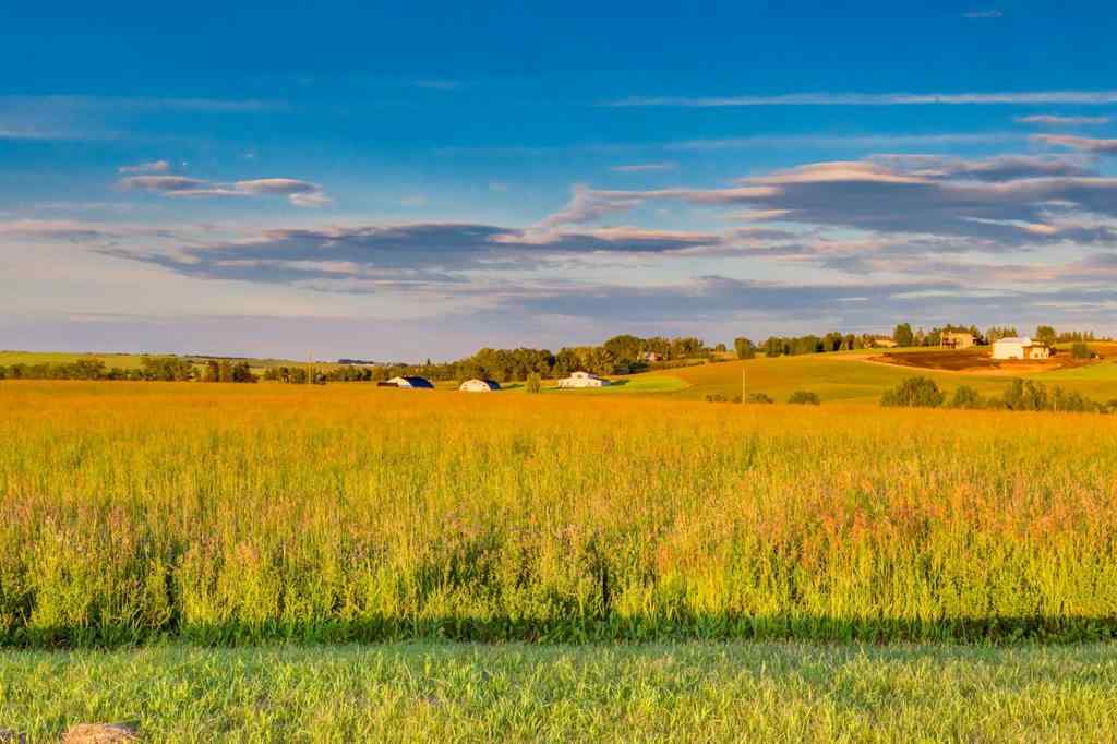 MLS® A2241275 - #100 168027 179 Avenue W in NONE Rural Foothills County, Agri-Business