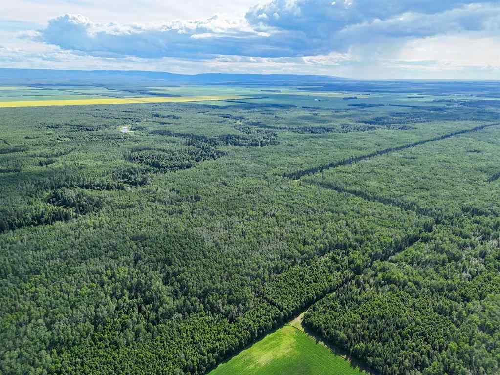 MLS® A2241362 -  SW-34-105-13-W5   in NONE Rural Mackenzie County, Agri-Business