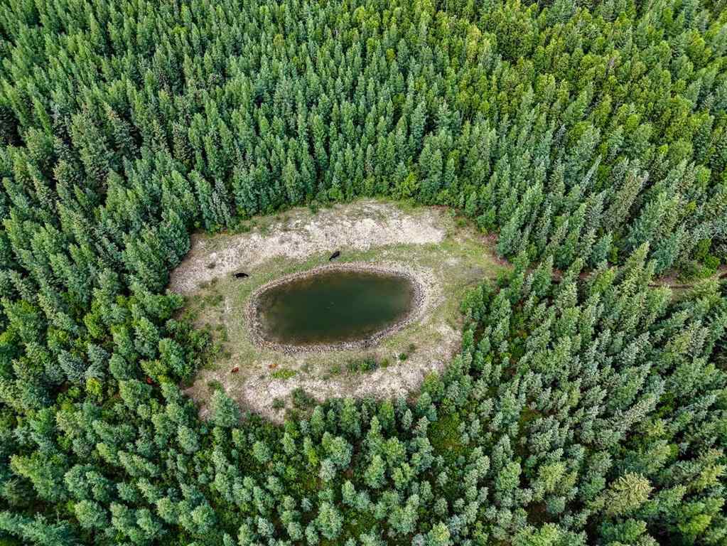 MLS® A2241362 -  SW-34-105-13-W5   in NONE Rural Mackenzie County, Agri-Business