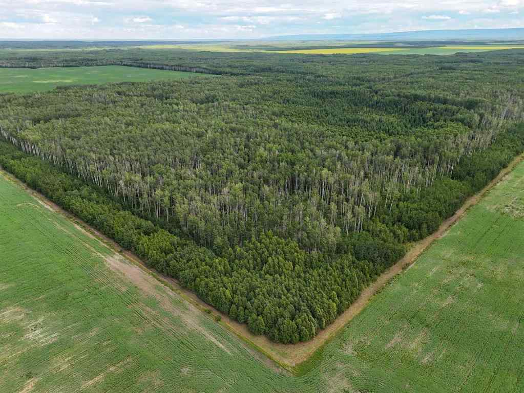 MLS® A2241362 -  SW-34-105-13-W5   in NONE Rural Mackenzie County, Agri-Business