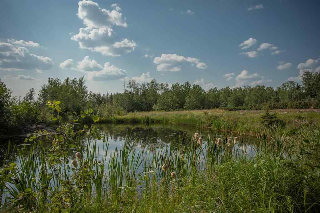 MLS® A2241374 - 110222 Range Road 191   in NONE Rural Mackenzie County, Agri-Business