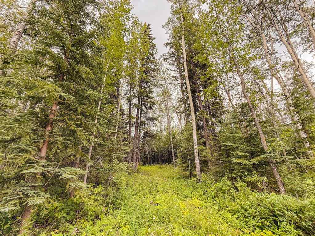 MLS® A2241423 - Pt. NW -2-73-12-W6 122 Range  in NONE Rural Grande Prairie No. 1, County of, Land