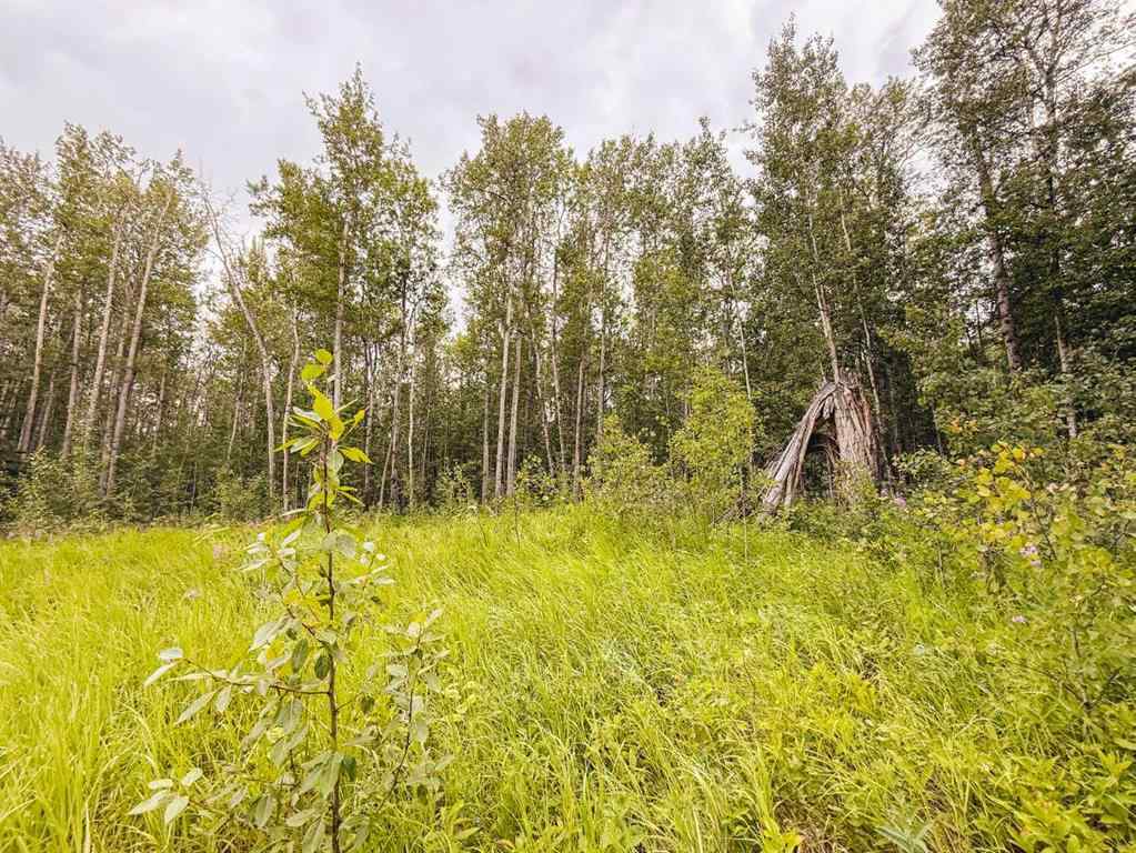 MLS® A2241423 - Pt. NW -2-73-12-W6 122 Range  in NONE Rural Grande Prairie No. 1, County of, Land